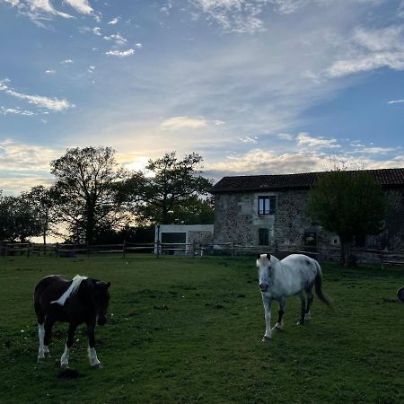 Gite A La Campagne Au Bord D'Un Lac 8 Personnes Saint-Quentin-sur-Charente Dış mekan fotoğraf