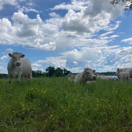 Gite A La Campagne Au Bord D'Un Lac 8 Personnes Saint-Quentin-sur-Charente Dış mekan fotoğraf