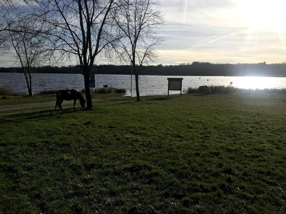 Gite A La Campagne Au Bord D'Un Lac 8 Personnes Saint-Quentin-sur-Charente Dış mekan fotoğraf