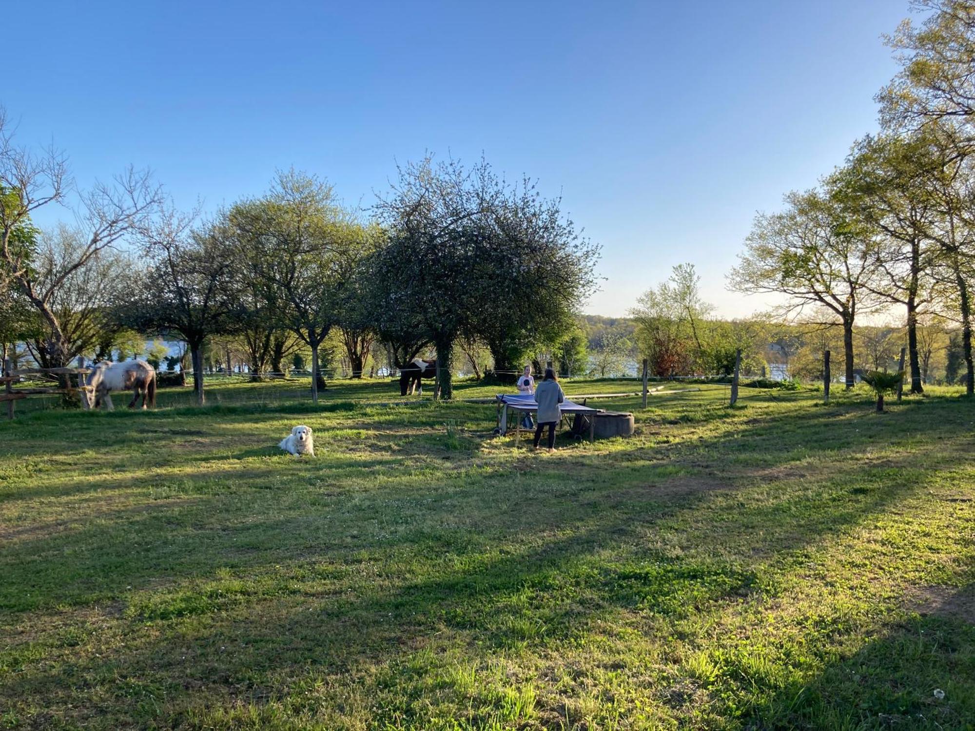 Gite A La Campagne Au Bord D'Un Lac 8 Personnes Saint-Quentin-sur-Charente Dış mekan fotoğraf